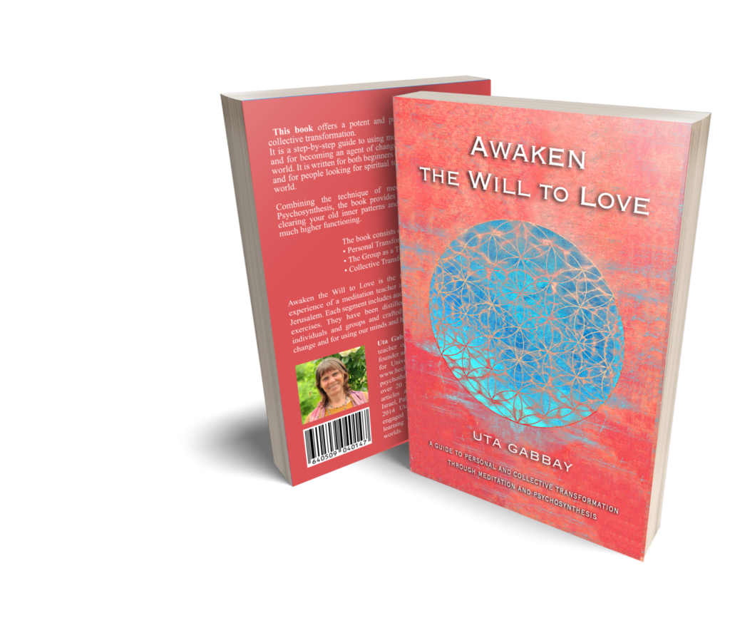 AWL Awaken the Will to Love book cover